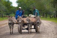 Rural Transportation